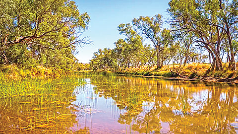 Finke River Oldest River