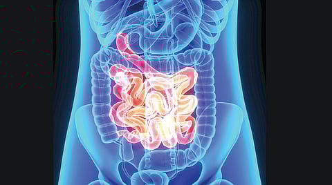 alcohol health effects