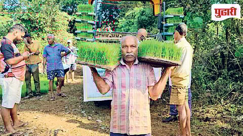 Mormugao Fish Market 