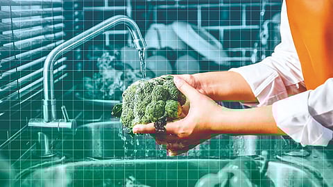 Dirty Vegetables Brain Dangerous