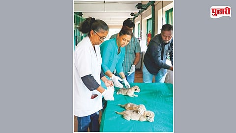Sanjay Gandhi National Park