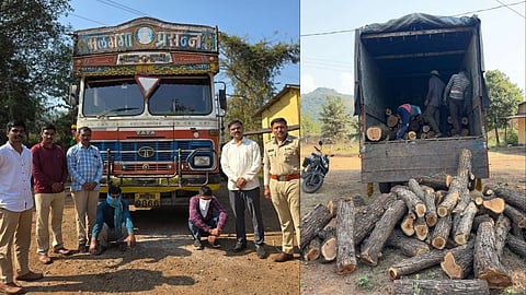 Raigad News : महाड वनविभागाची मोठी कारवाई! गुजरातहून चिपळूणला जाणारा 'खैरा'चा ट्रक जेरबंद; ७ लाखांचा मुद्देमाल जप्त