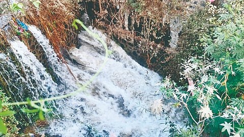 Krishna canal breach