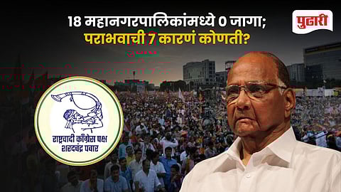NCP Sharad Pawar Municipal Election Defeat Reasons