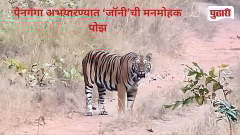 Painganga Wildlife Sanctuary Nanded