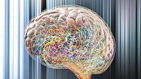 Epilepsy Treatment Research