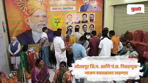 Solapur BJP news