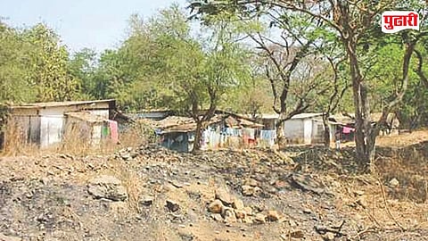 Sanjay Gandhi National Park