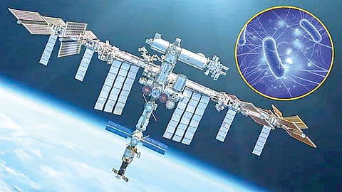 space station virus research