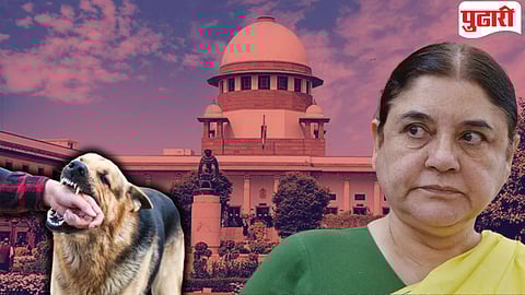 Supreme Court |"कसाबने कोर्टाचा..." : भटक्या कुत्र्यांच्या आदेशावरील टिप्पणीबद्दल सुप्रीम कोर्टाने मेनका गांधींना झापले