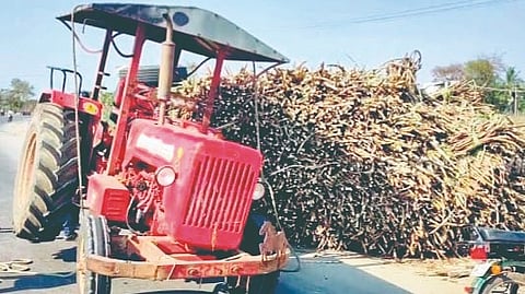 Sugarcane Transport Issue