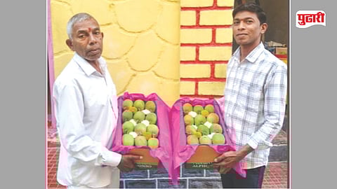 Alibag Hapus Mango