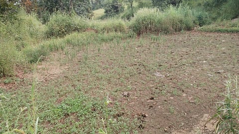 Palghar farmers loan relief