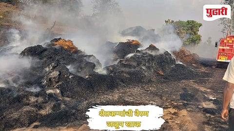 Kolhapur Fire News |तारळे खुर्द येथे शॉर्टसर्किटने पंधरा गवत गंज्यांना आग!