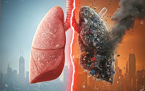 Plastic Health Risk | 