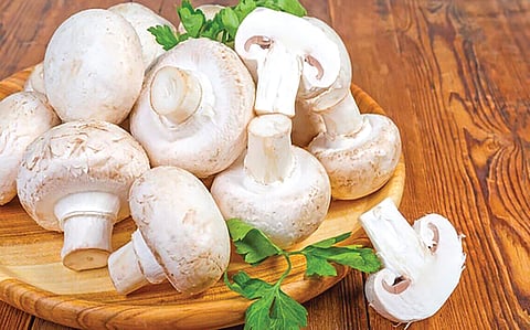 Mushroom vegetarian or non vegetarian |