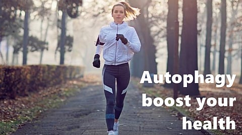 autophagy health benefits