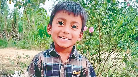 Sangli leopard attack