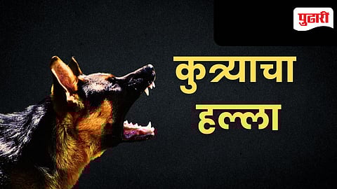 Stray dog attack Neral