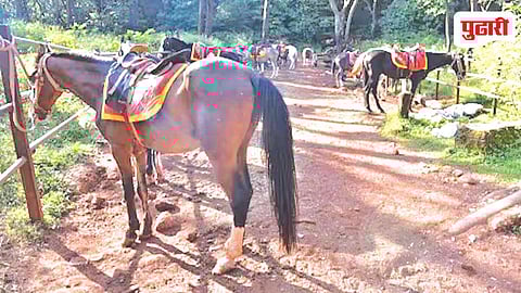 Horse Carriage Pollution Matheran