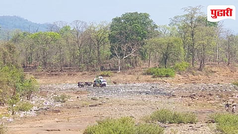 Poladpur Waste Management