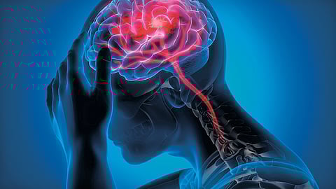 Brain injuries insights