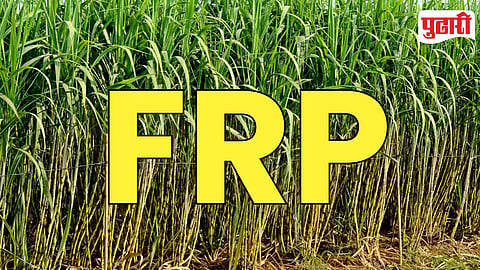 Sugarcane FRP