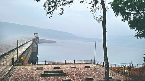 Chandoli Dam