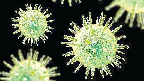 Epstein Barr Virus Risk