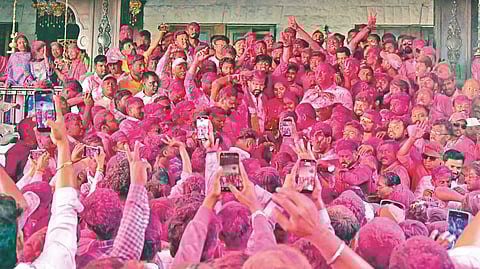 Satara ZP Election : भाजप 27 , राष्ट्रवादी  20, शिवसेना 15