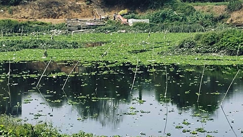 Kalu River pollution
