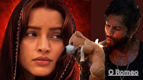 tripti dimri shahid kapoor