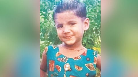 Leopard attack rumour