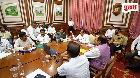 Vasai Virar Mangrove Relocation