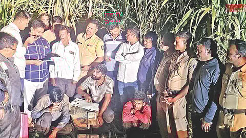 Illegal ganja transport