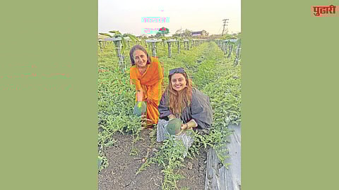 Babhalgaon organic farming