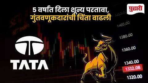 TCS Stock Crash