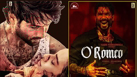 shahid kapoor tripti dimri 