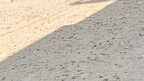 Kingaon cement road issue