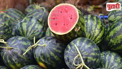 Watermelon