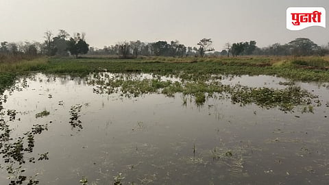 Morba Branch Canal Burst