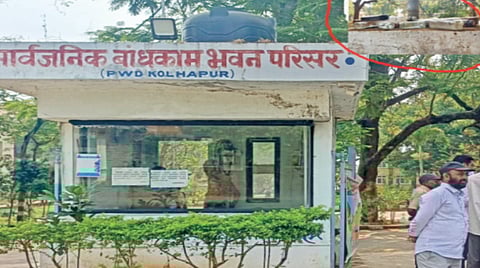 (छाया ः नाज ट्रेनर)