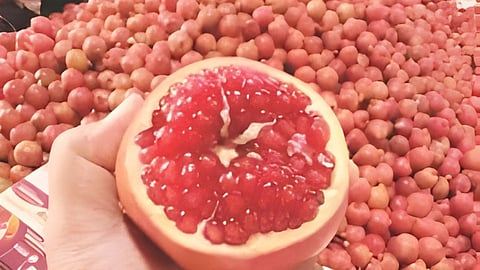 Pomegranate prices hike