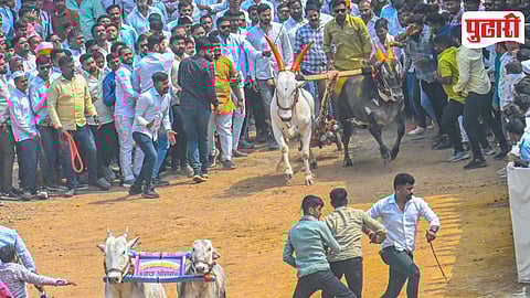 Charholi Bailgada Sharyat