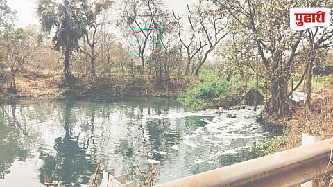 KDMC Polluted Water Farming