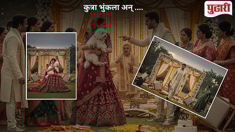 Viral News Dog And Wedding