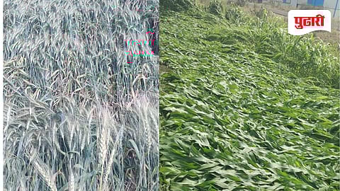 Unseasonal Rain Nanded