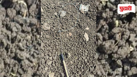 Kolhapur news | शिरढोणमध्ये मोराच्या शिकारीसाठी सापळे; शेतकरी जखमी