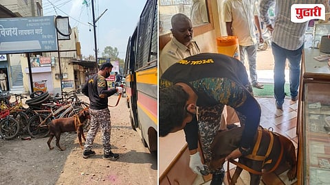 Daylight Theft Umbraj 