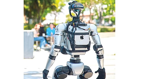 Chinese Humanoid Robot |